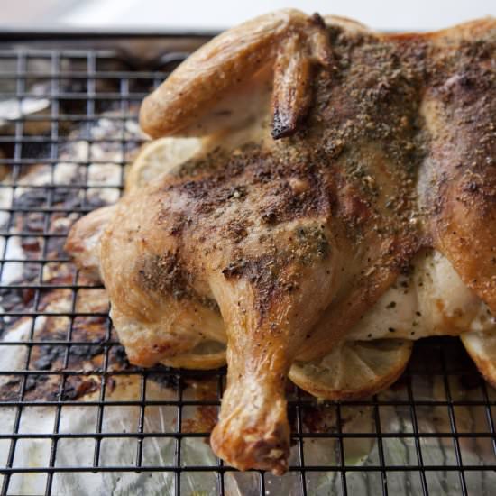 Lemon & Garlic Spatchcock Chicken - Recipe photo by urbancookery