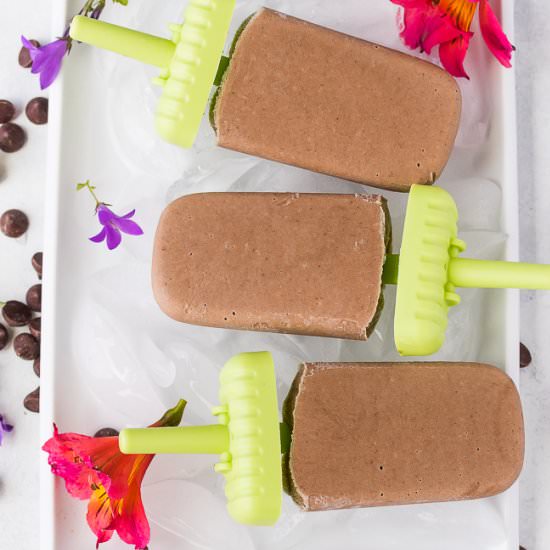 Homemade Vegan Fudgesicles - Recipe photo by cleaneatingkitchen