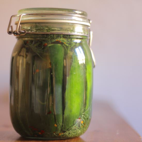 Refrigerator Dill Pickles - Recipe photo by Jennyblogs