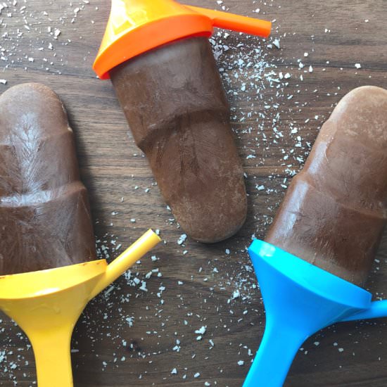 Dairy-Free Chocolate Fudge Pops - Recipe photo by Mom Eats Paleo