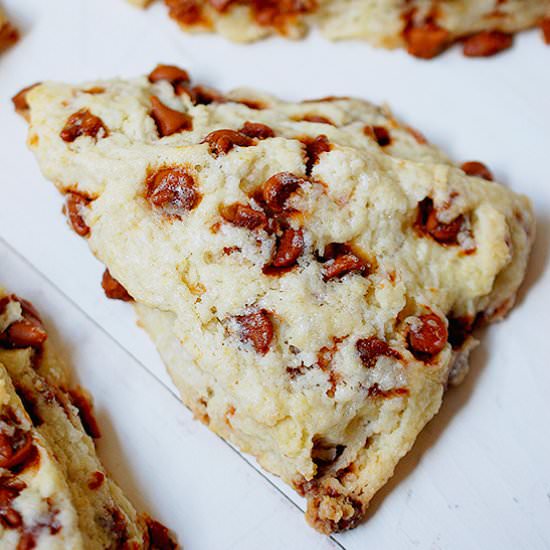 Cinnamon chip scones - Recipe photo by evabakes