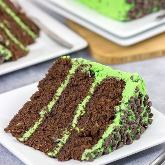 Mint Chocolate Chip Cake - Recipe photo by spicedblog