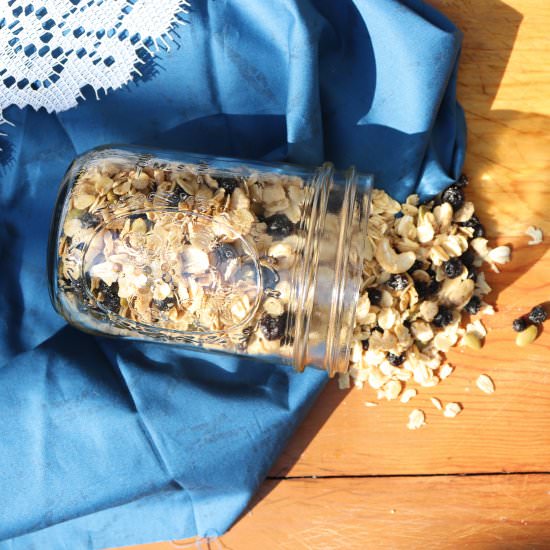 White Chocolate Blueberry Granola - Recipe photo by veryveganval