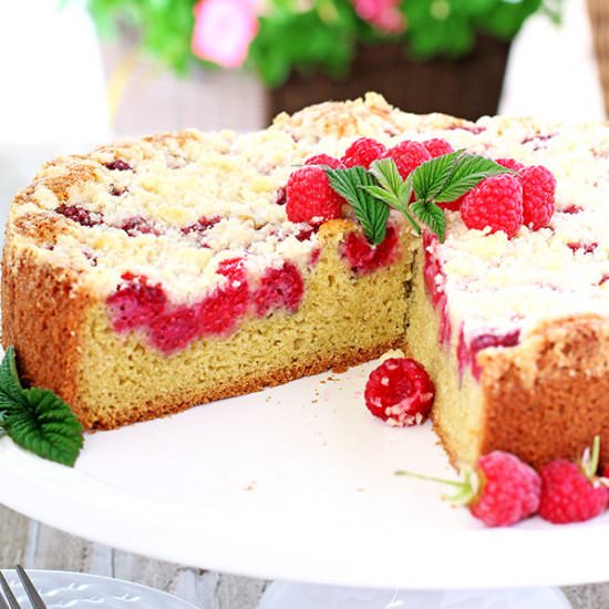 Raspberry Vanilla Streusel Coffee Cake - Recipe photo by thefarmgirlblog.com