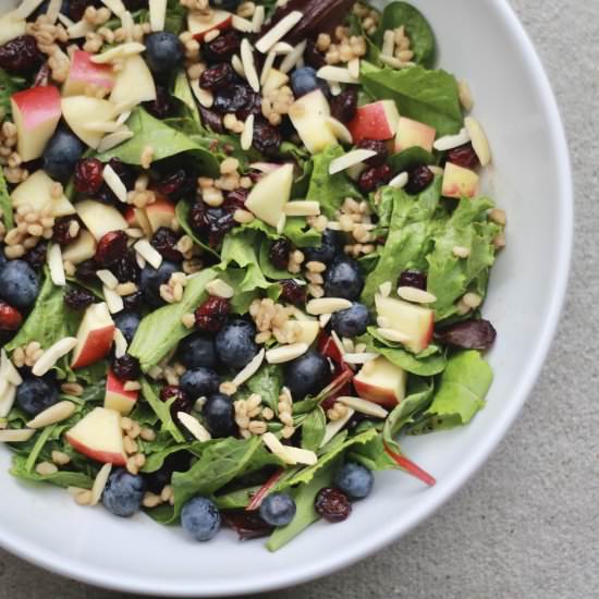 Jeweled Barley Salad - Recipe photo by wholesomellc