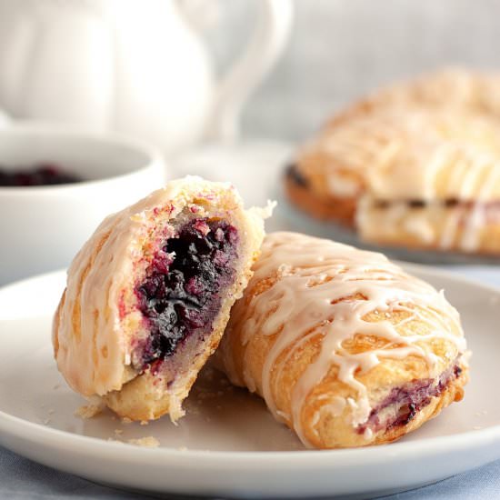 Vegan Blueberry Hand Pies - Recipe photo by plant.well