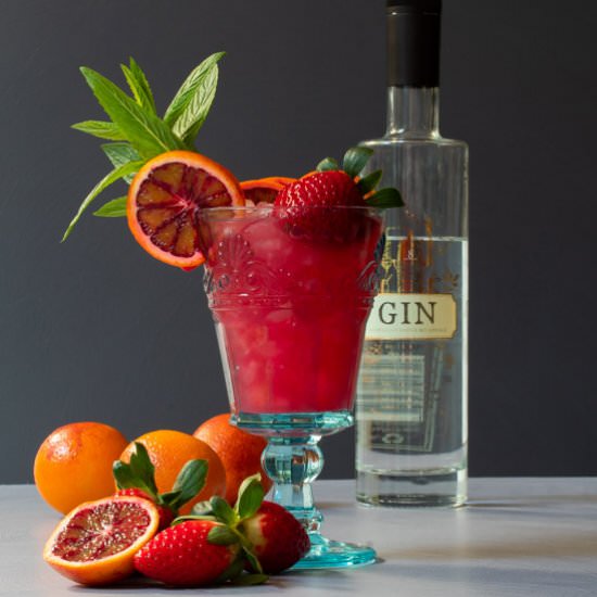 Blood orange pomegranate gin Daisy - Recipe photo by peck of pickles