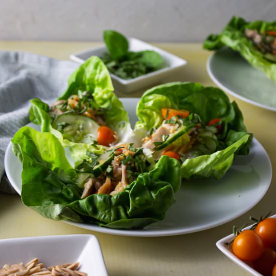 Asiatic Chicken Lettuce Wraps - Recipe photo by twistsandzests
