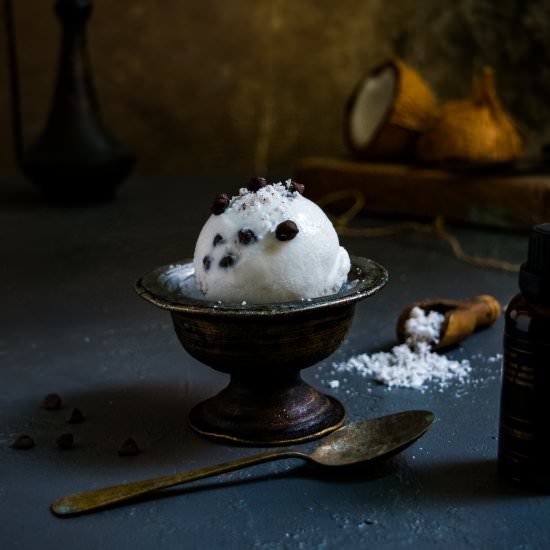 Creamy Vegan Coconut Ice cream - Recipe photo by sharmi02