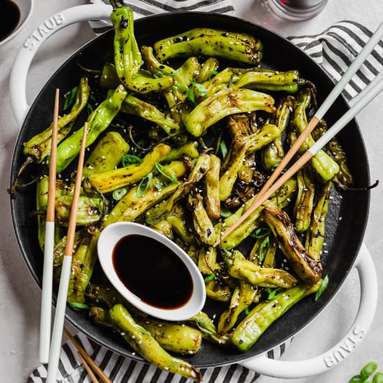 blistered shisito peppers - Recipe photo by wellseasonedstudio