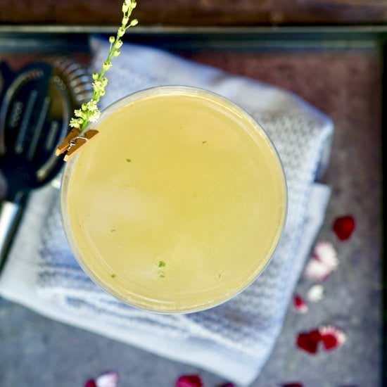 Old Cuban Cocktail - Recipe photo by simmerandsauce