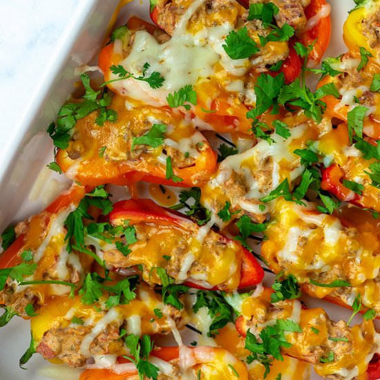 TACO STUFFED MINI PEPPERS - Recipe photo by ThatLowCarbLife