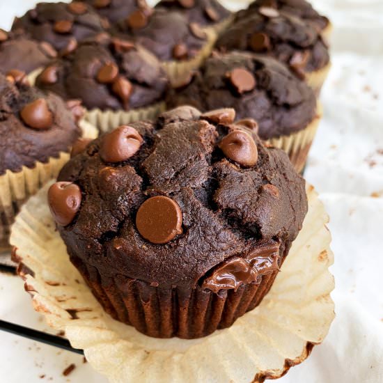 Chocolate Peanut Butter Muffins - Recipe photo by hellospoonful