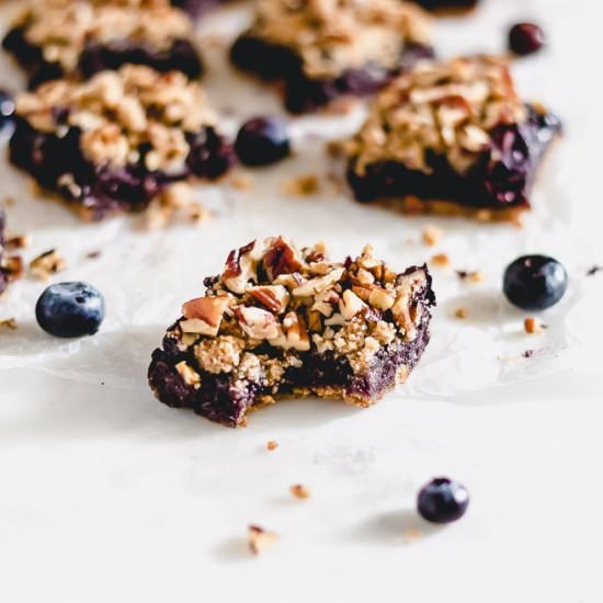 Grain-Free Blueberry Crumble Bars - Recipe photo by paleoinpdx