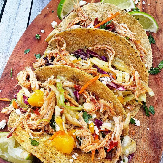 Chipotle Chicken Tacos- Instant Pot - Recipe photo by saltsugarspice