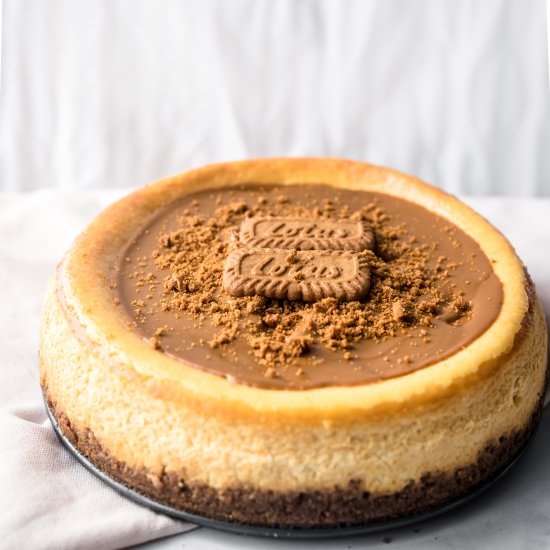 Lotus Biscoff Cheesecake - Recipe photo by everylittlecrumb