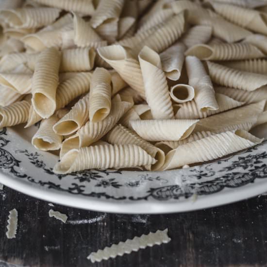 Homemade fresh garganelli pasta - Recipe photo by tetisflakes