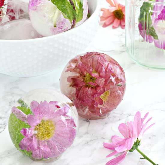How to Put Edible Flowers in Ice - Recipe photo by squirrelsofafeather