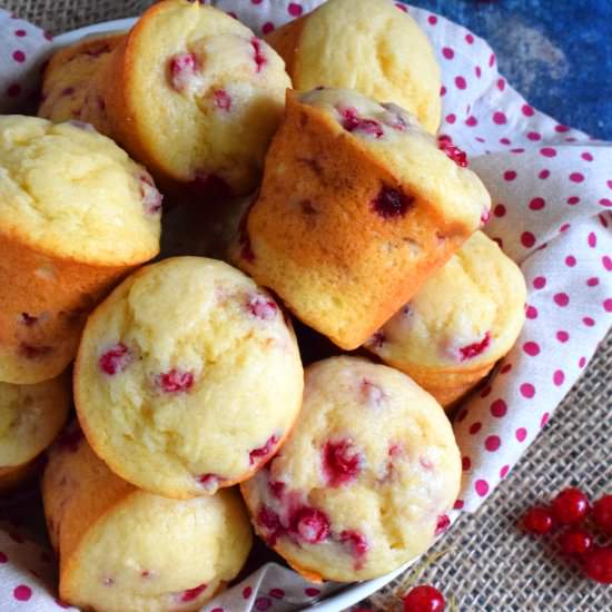 Red Currant Yogurt Muffins - Recipe photo by byronethomas