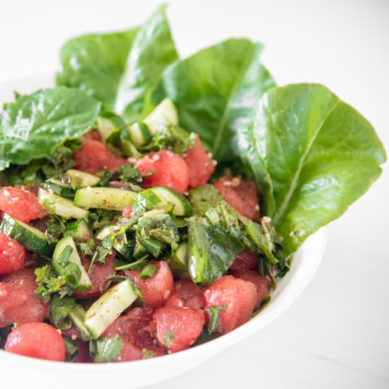 AIP Watermelon Fattoush Salad - Recipe photo by The Primal Desire