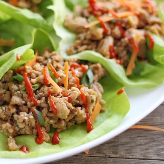 Asian Chicken Lettuce Wraps - Recipe photo by Ereese