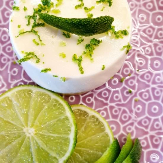 Keto Lime Pudding - Recipe photo by Naughty and Nice Kitchen
