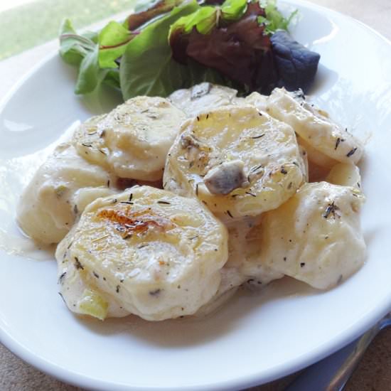 Creamy Scalloped Potatoes - Recipe photo by savorysally