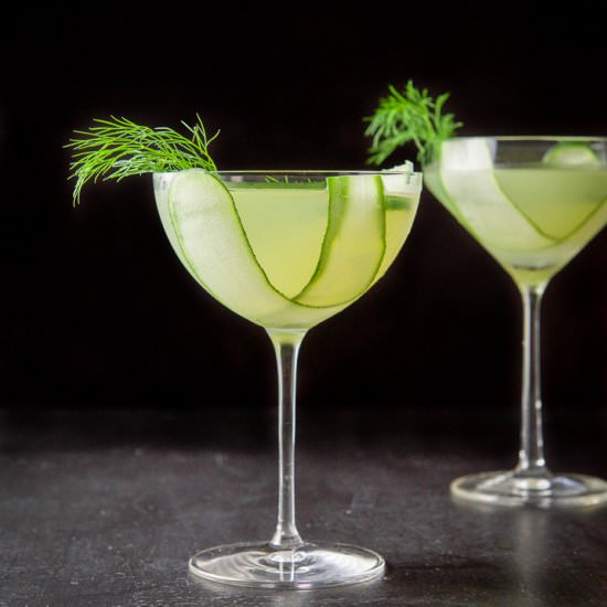 Cucumber Dill Martini - Recipe photo by Dishesdelish