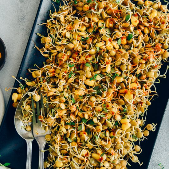 Spicy Sprouted Lentils - Recipe photo by giverecipe