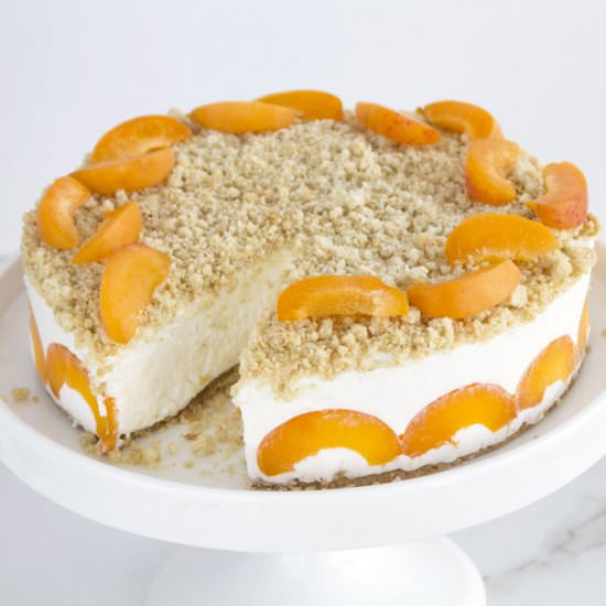Apricot and Oatmeal Cheesecake - Recipe photo by lilcookieblog