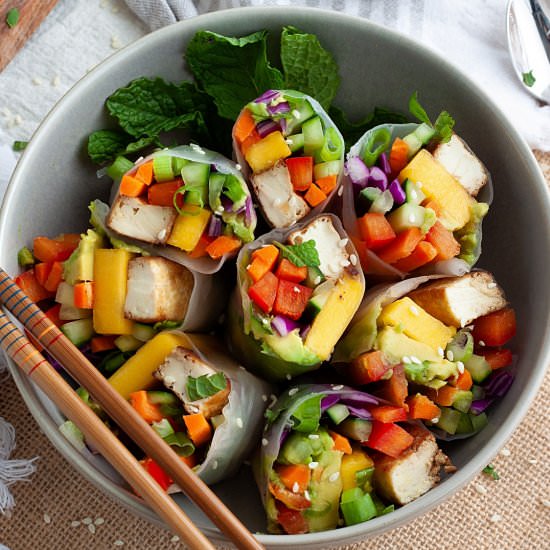 Vegan Rainbow Tofu Rolls - Recipe photo by plant.well