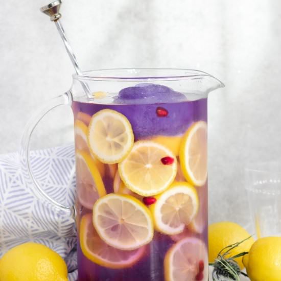 Butterfly Pea Flower Tea - Recipe photo by The Plant Riot