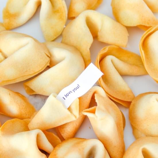 Homemade Fortune Cookies - Recipe photo by bakerbettie