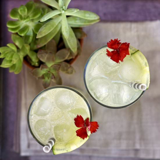 Cucumber Limeade Mocktail - Recipe photo by simmerandsauce