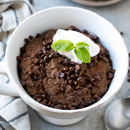Protein Chocolate Mug Cake - Recipe photo by healthyfitnessmeals