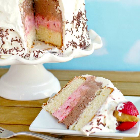 Neapolitan Ice Cream Cake - Recipe photo by Food Meanderings