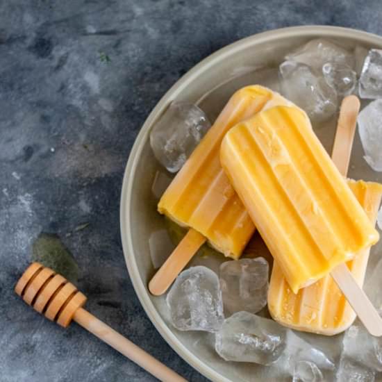 Mango Popsicles - Recipe photo by My active kitchen