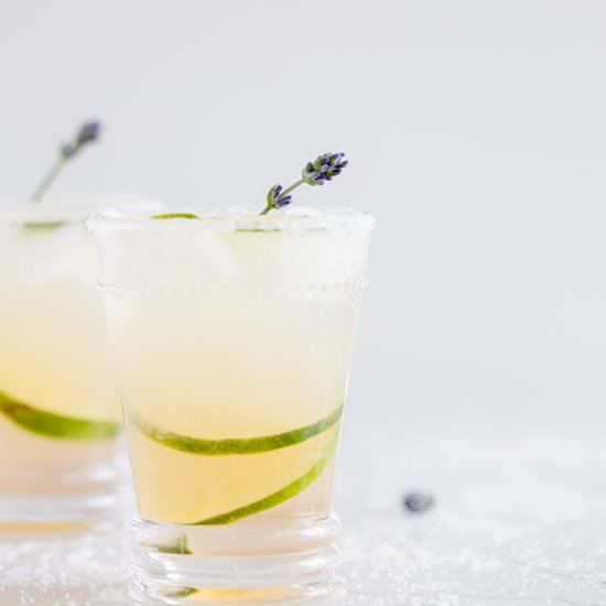 Lavender Margaritas - Recipe photo by poshlittledesigns