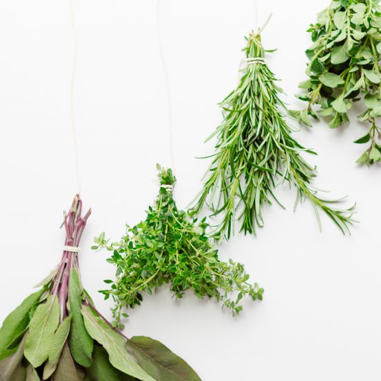Preserving Fresh Herbs:2 Easy Ways - Recipe photo by mapleandmango