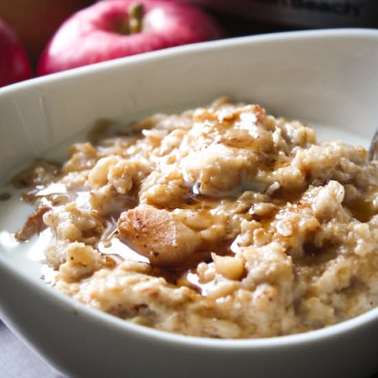 Crock Pot Oatmeal - Recipe photo by DailyAppetite