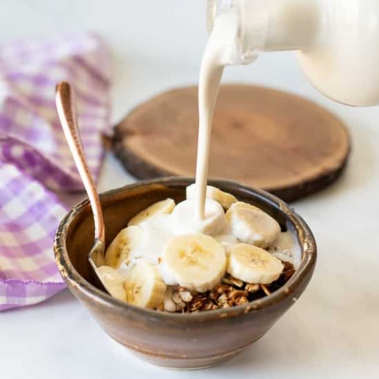 Cashew Milk - Recipe photo by AVirtualVegan