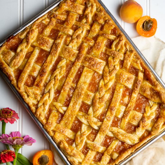 Apricot and Peach Slab Pie - Recipe photo by kneadbakecook