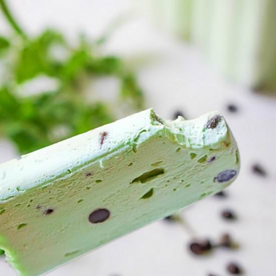 Mint Chocolate Chip Keto Ice Pops - Recipe photo by MyLifeCookbook