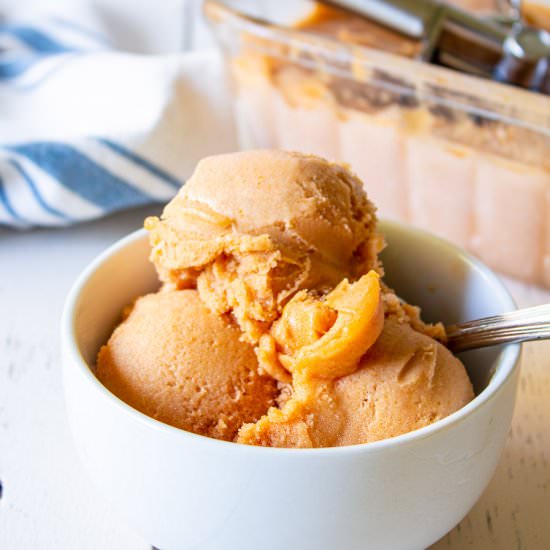 Apricot Sorbet - Recipe photo by BeyondtheCoop