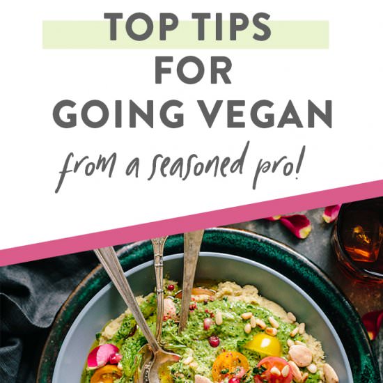 10 Must Read Tips on Going Vegan - Recipe photo by 40aprons