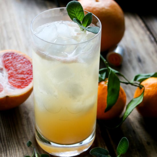 Citrus Vodka Sage Cocktail - Recipe photo by DailyAppetite