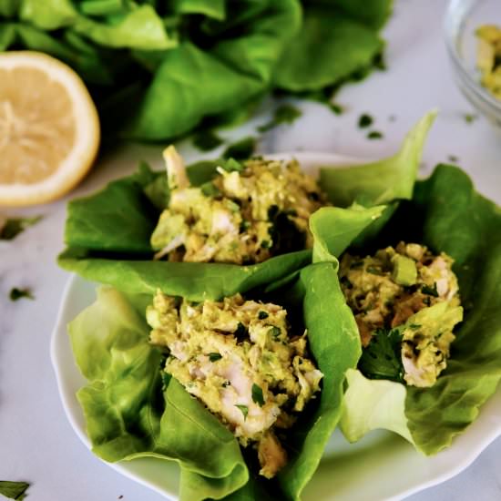 Avocado Chicken Salad - Recipe photo by Everyday Gourmet with Blakely