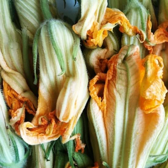 Fried zucchini blossoms - Recipe photo by miminewman