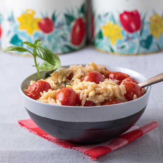 Orzo with Tomatoes - Recipe photo by sidewalkshoes
