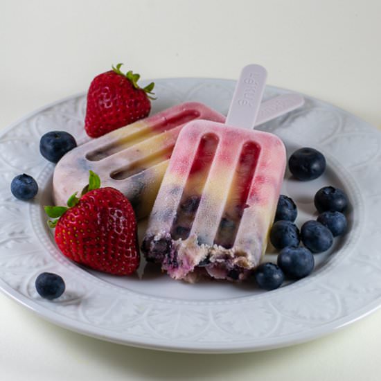 Coconut Yogurt Fruit Popsicles - Recipe photo by a meal in mind